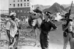 ���� ������ ��� ��� ����